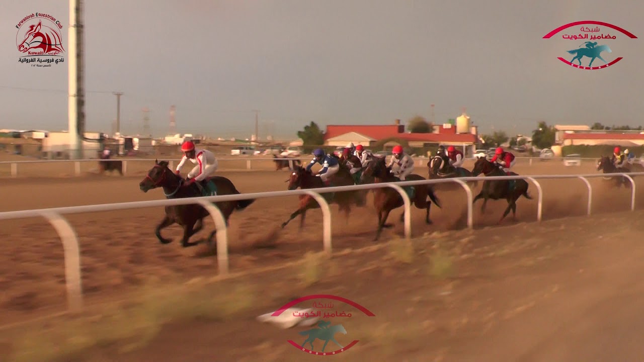 البطل اخو نجله لـ أسطبل مناحي القني