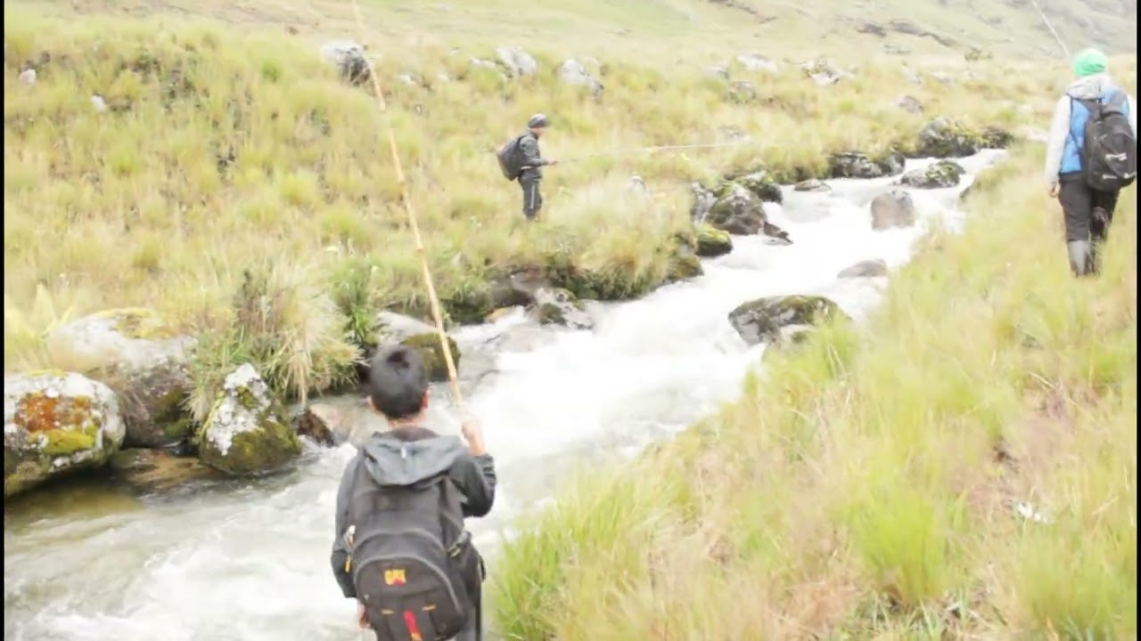 IMPRESIONANTE PESCA DE TRUCHAS EN RIO Y LAGUNA