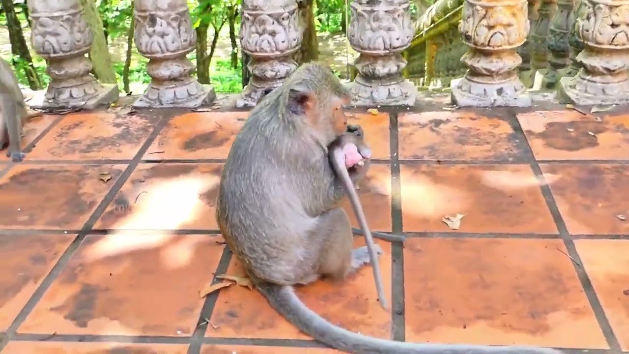 That’s so touching — and truly s@d, Chago t rying to k indness, but Malo just can’t accept it