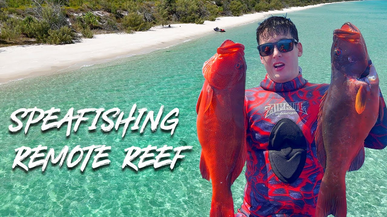 Spearfishing QLD Great Barrier Reef | Catch and Cook Coral Trout on Seadoo Explorer Pro