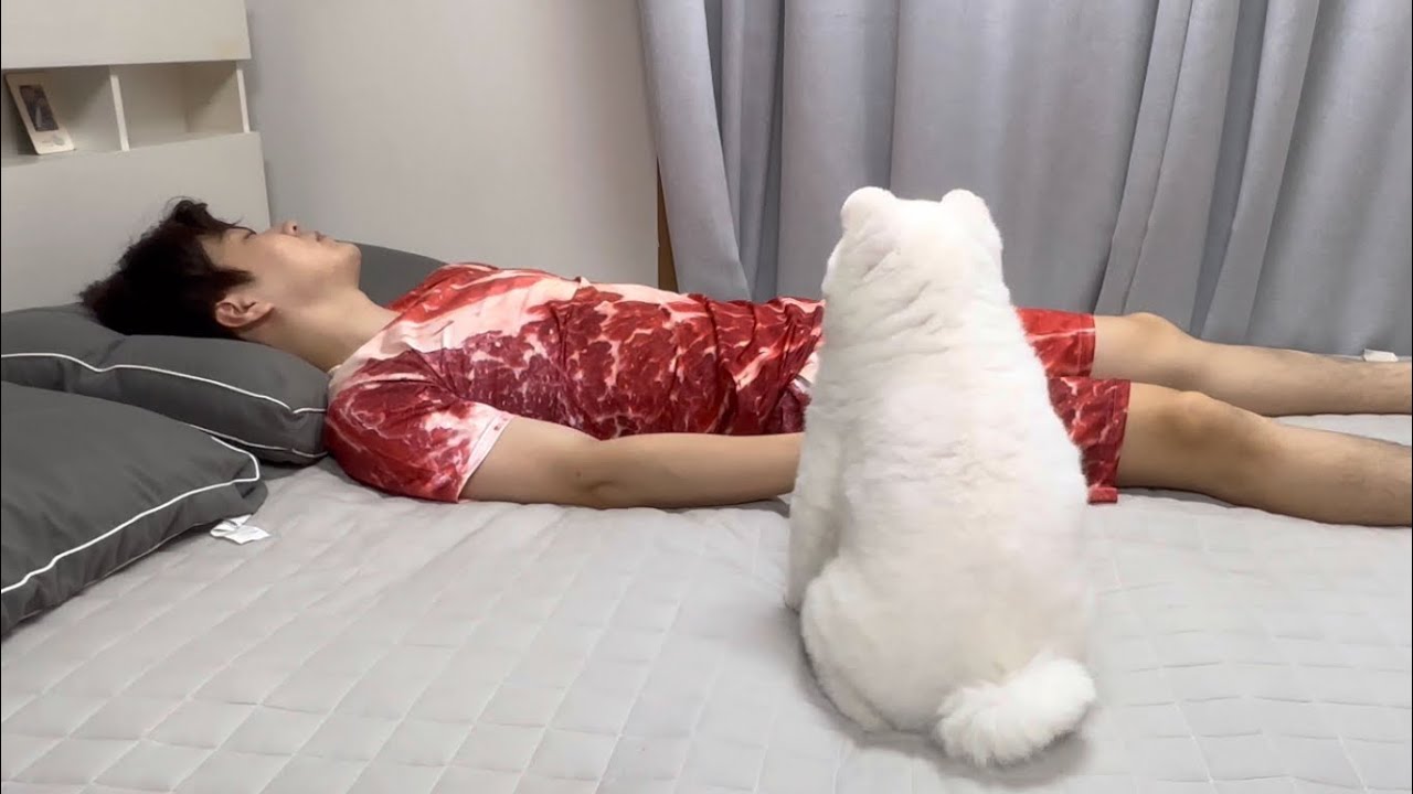 고기옷을 입고 잠들었더니 강아지가...