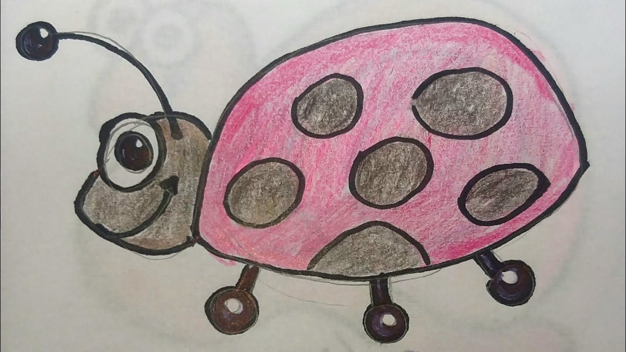 Insects