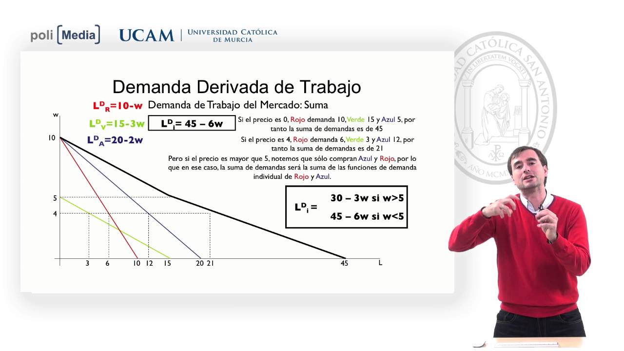Economía del trabajo - La demanda en el mercado de trabajo - Alfonso Rosa