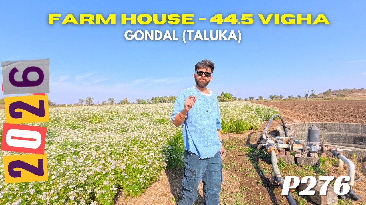 44.5 VIGHA || ON ROAD || ROAD TOUCH || FARM || AGRICULTURAL LAND || TALUKA- GONDAL || RAJKOT