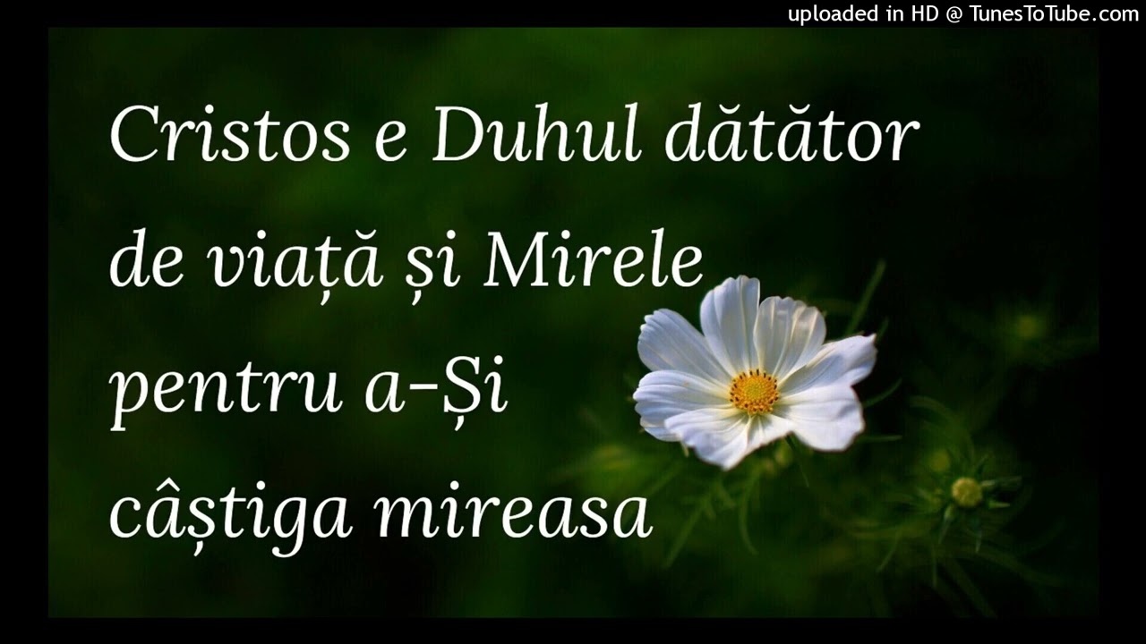 Cristos e Duhul dătător de viață și Mirele pentru a-Și câștiga mireasa
