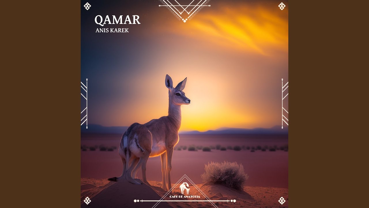 Qamar