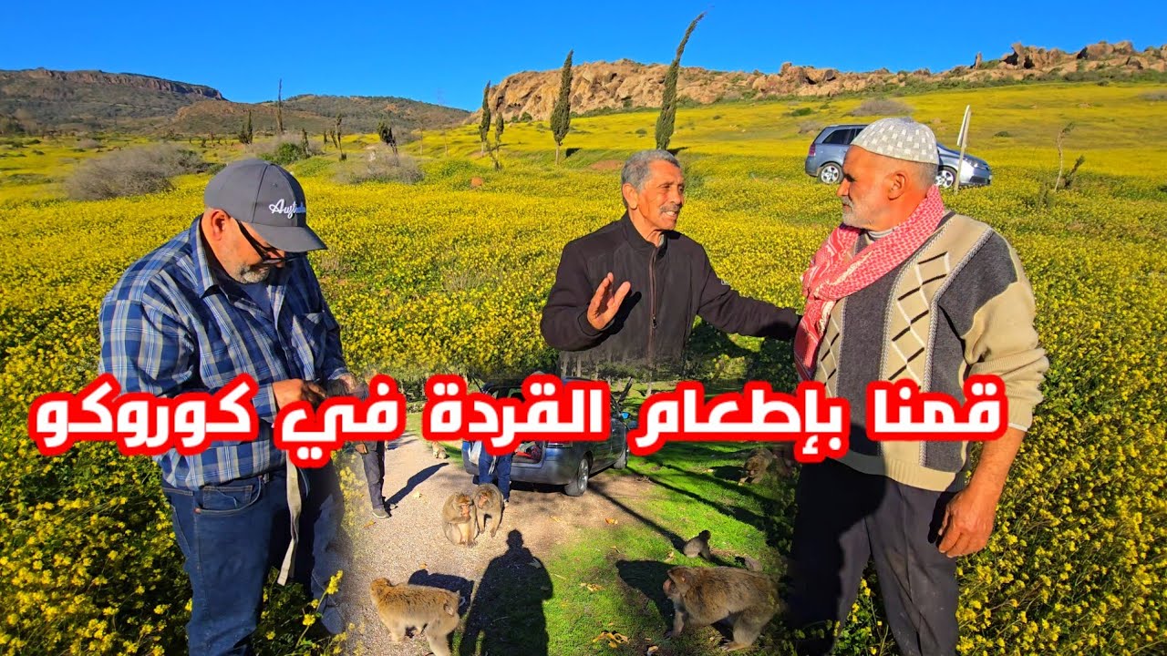 منظر غير عادي في غابة كوروكو شوفو قُمنا بإطعام القردة أنا وعمي الطيب وحسين ومحمذ