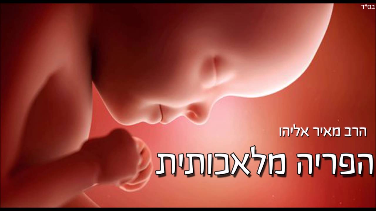 הרב מאיר אליהו l הפריה מלאכותית