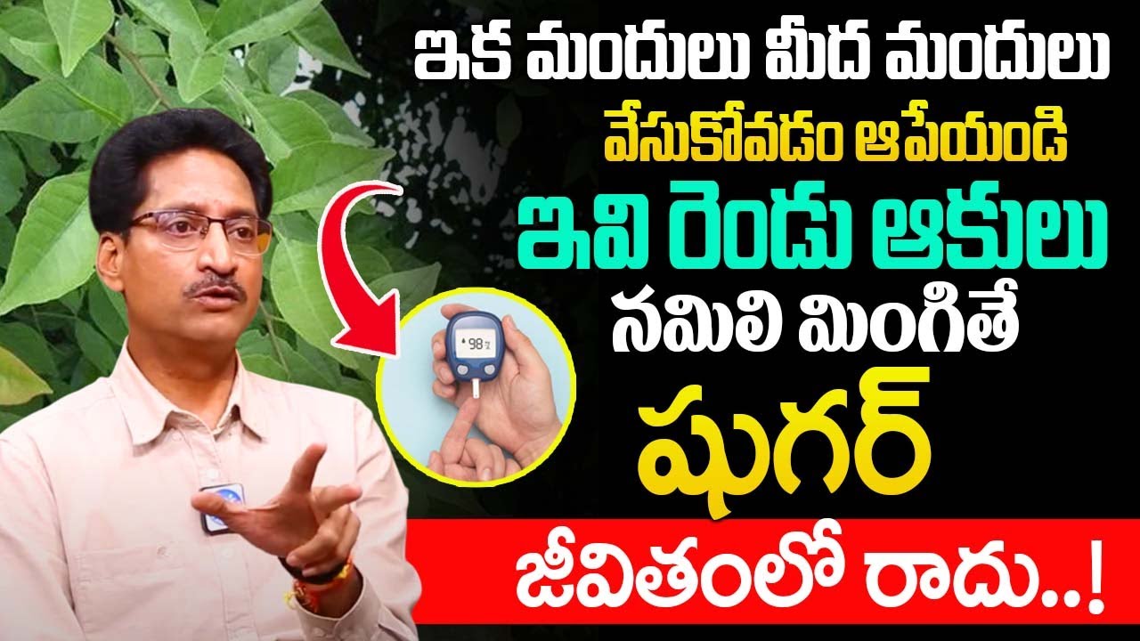 ఇవి రెండు ఆకులు నమిలి మింగితే షుగర్ జీవితంలో రాదు..!|  Diabetes Control Leaves |@idsuperhealth