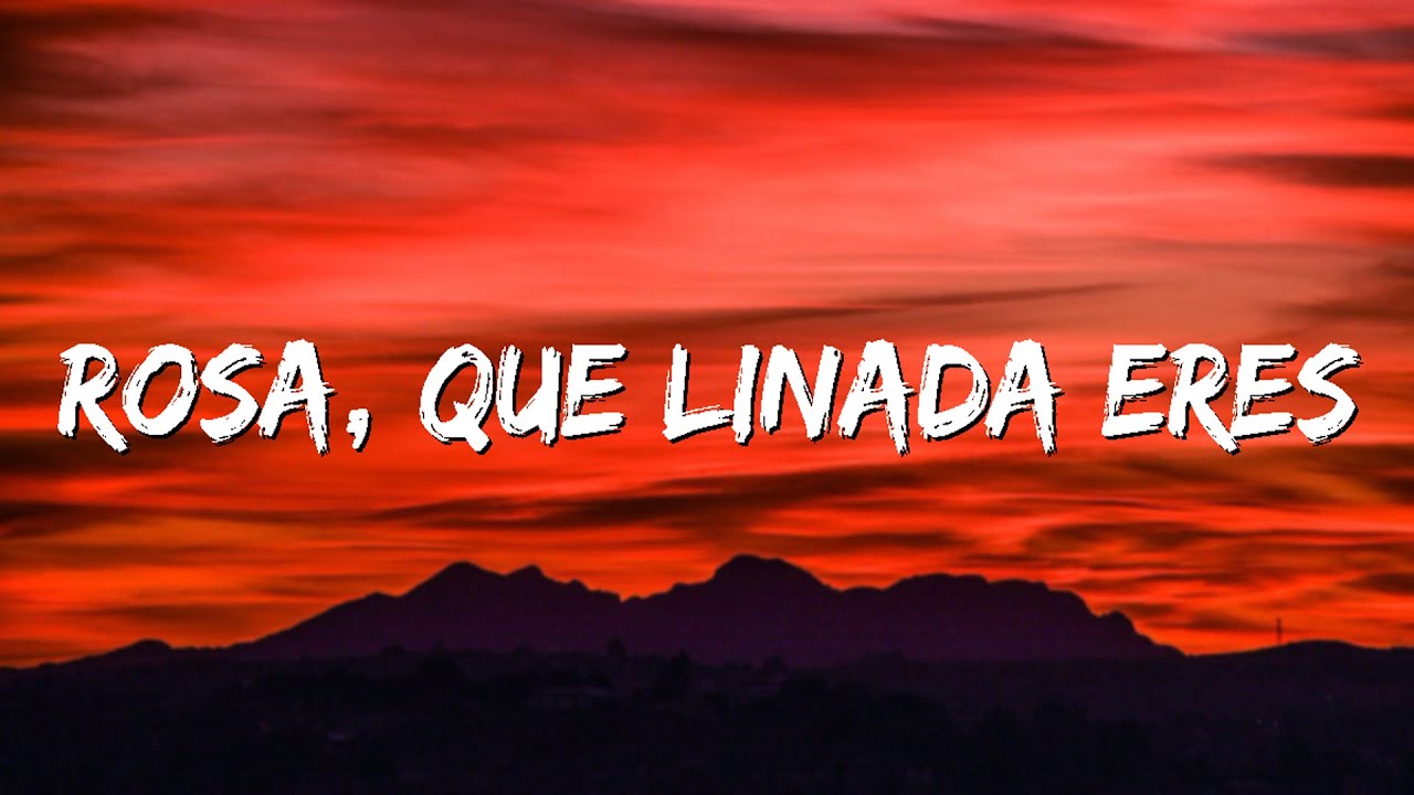 Rosa que linda eres - La canción viral de tik tok