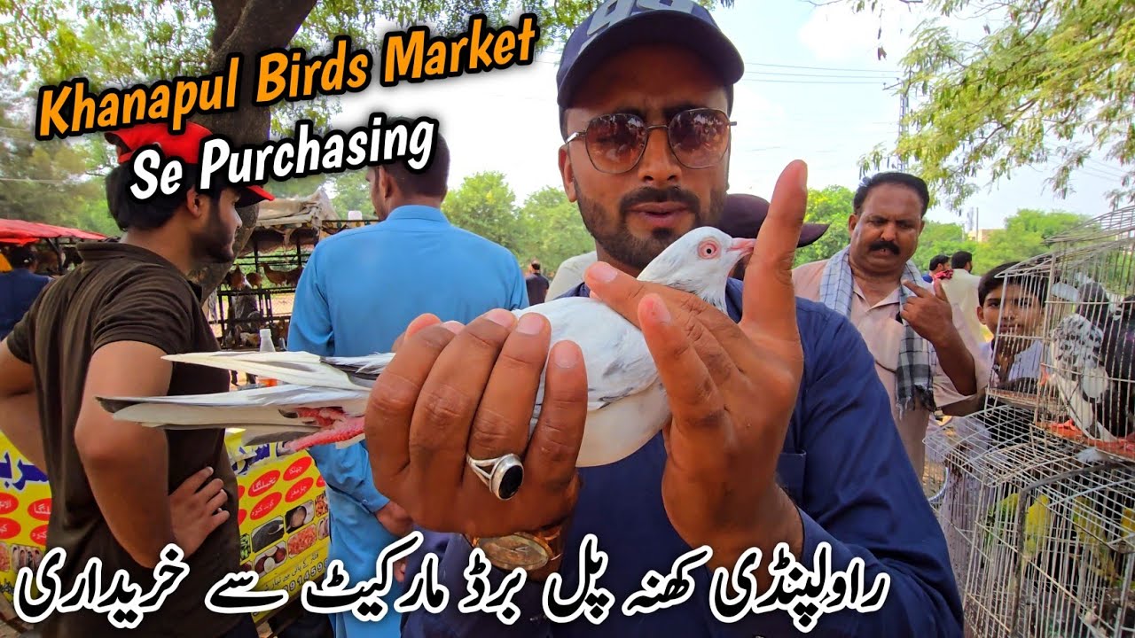 Birds Market Khanapul Rawalpindi Islamabad _ MB Vlogs 