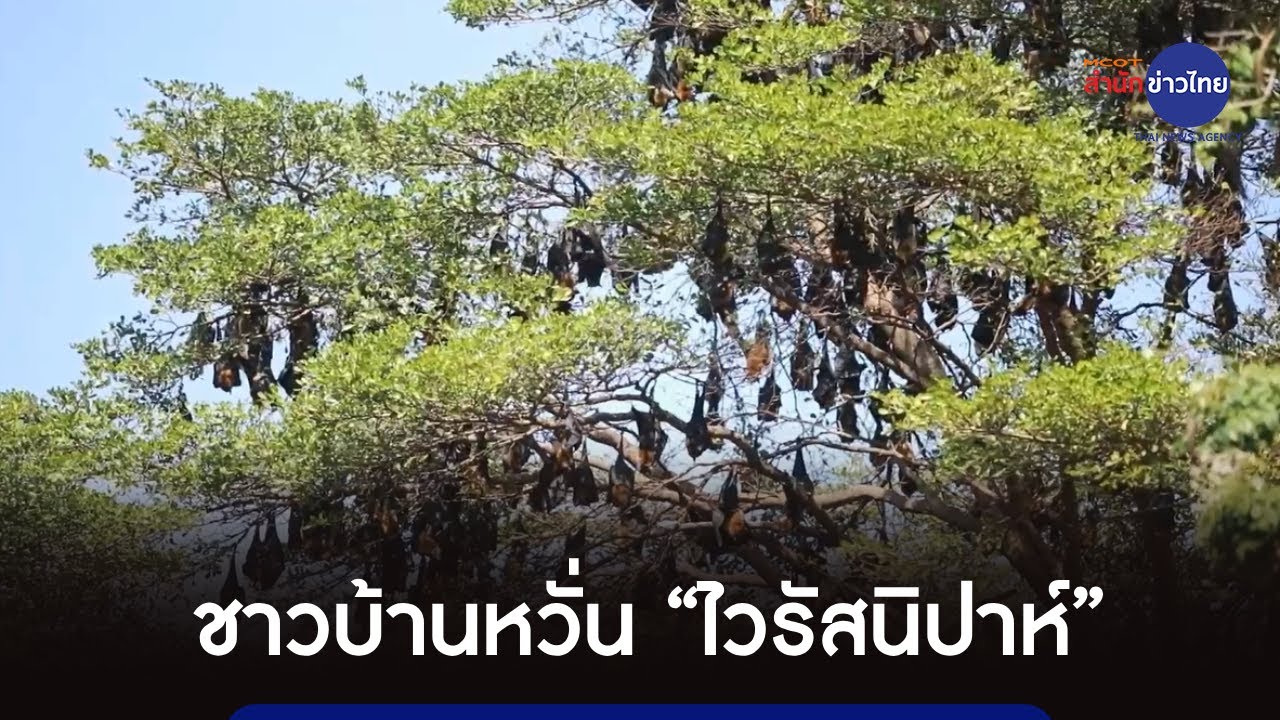 ชาวบ้านหวั่น 