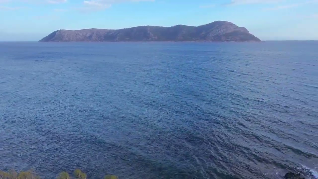 Mersin Tisan 2025 Ekim