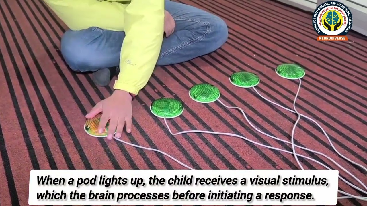 Reaction Pods Therapy Activity at NEURODIVERSE Srinagar 