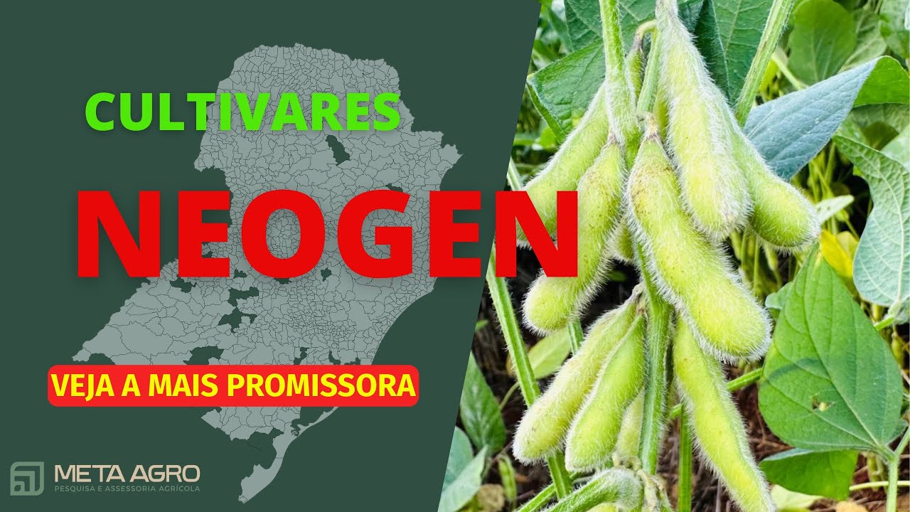 VEM COM FORÇA!! Soja NEOGEN
