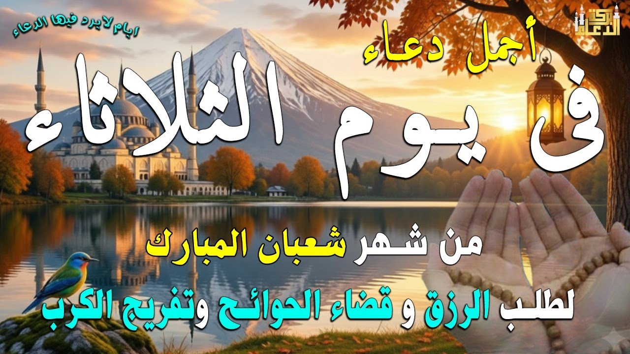 دعاء فى صباح يوم السبت 19 من شهر شعبان لطلب الرزق والفرج وقضاء الحوائج وتفريج الهم بإذن الله 💚