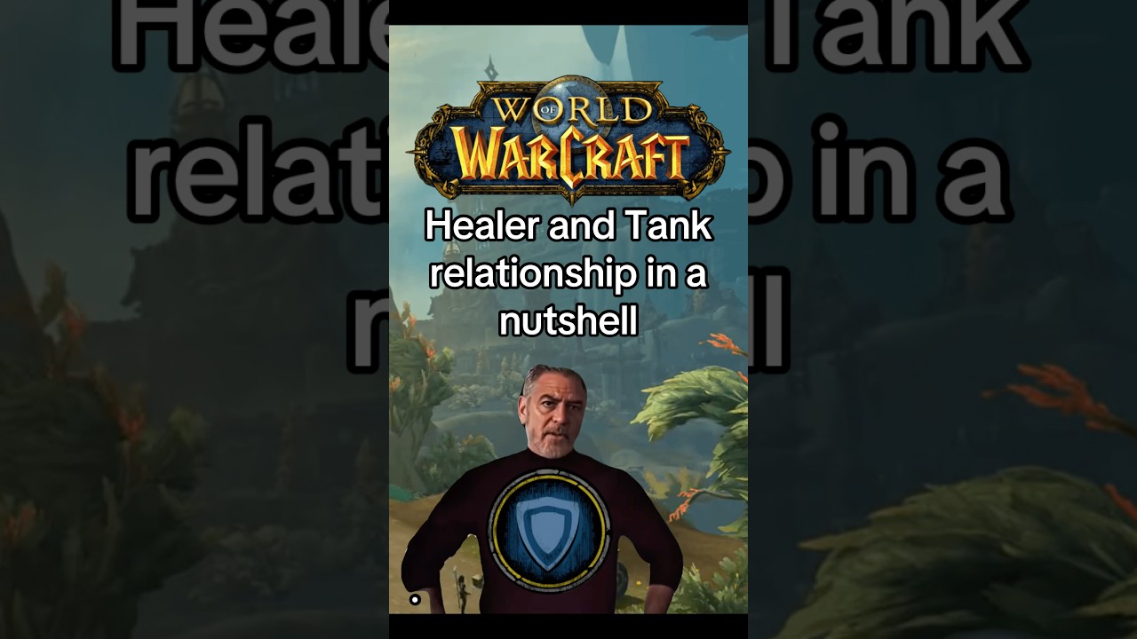 Взаимоотношения целителя и танка в двух словах #worldofwarcraft #warcraft #mmo #mmorpg #gaming #s...