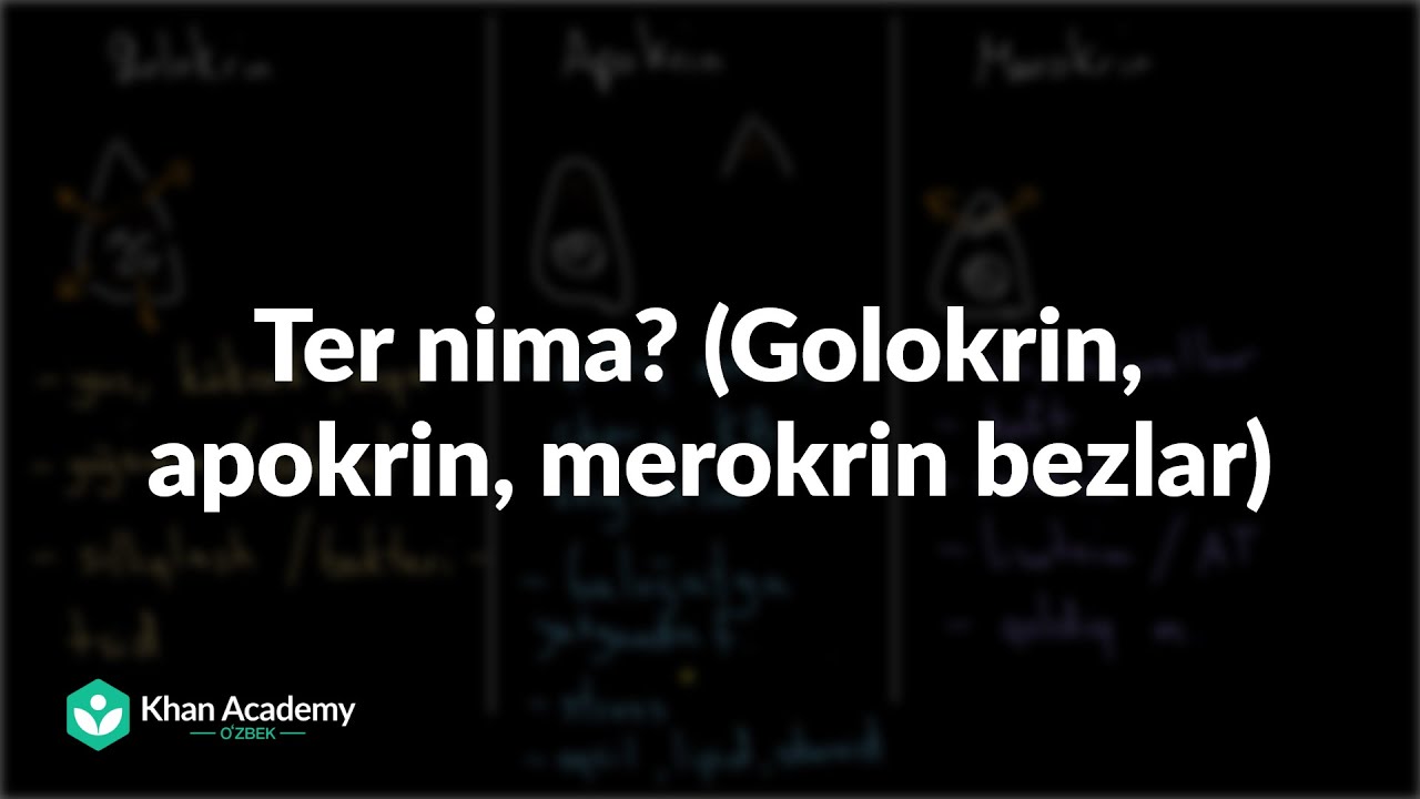 Ter nima? (Golokrin, apokrin, merokrin bezlar) |  Tanani qoplovchi tizim | Tibbiyot