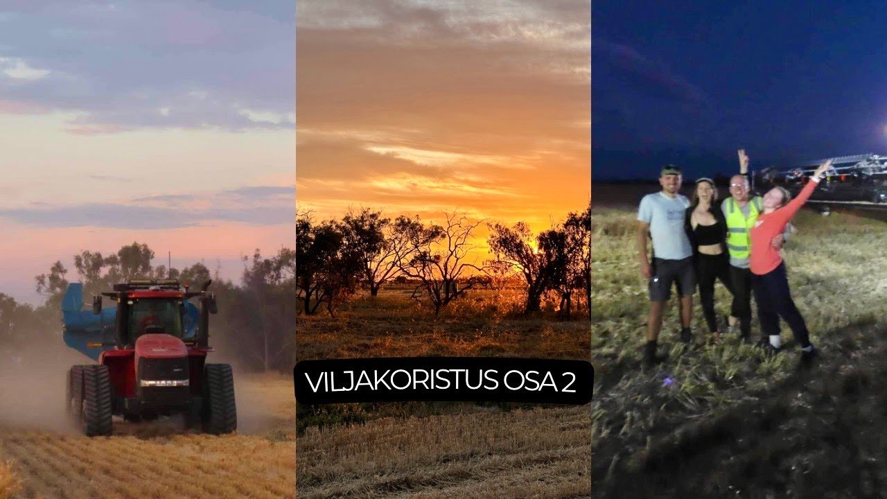 Vlog 67 - VILJAKORISTUS VOL 2