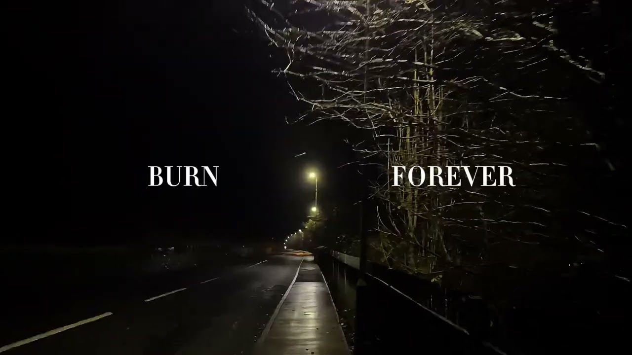 Merry Christmas, please don&rsquo;t call - bleachers lyric video