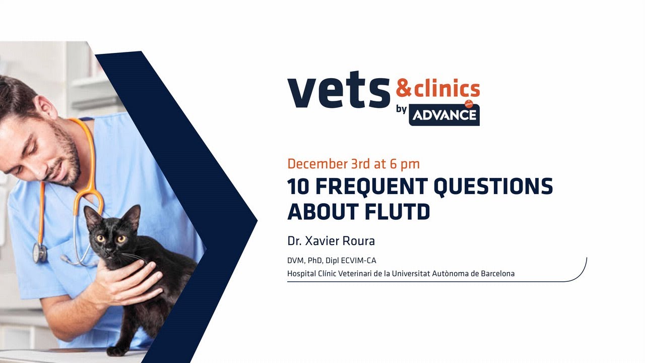 02. INT - 10 frequent questions about FLUTD