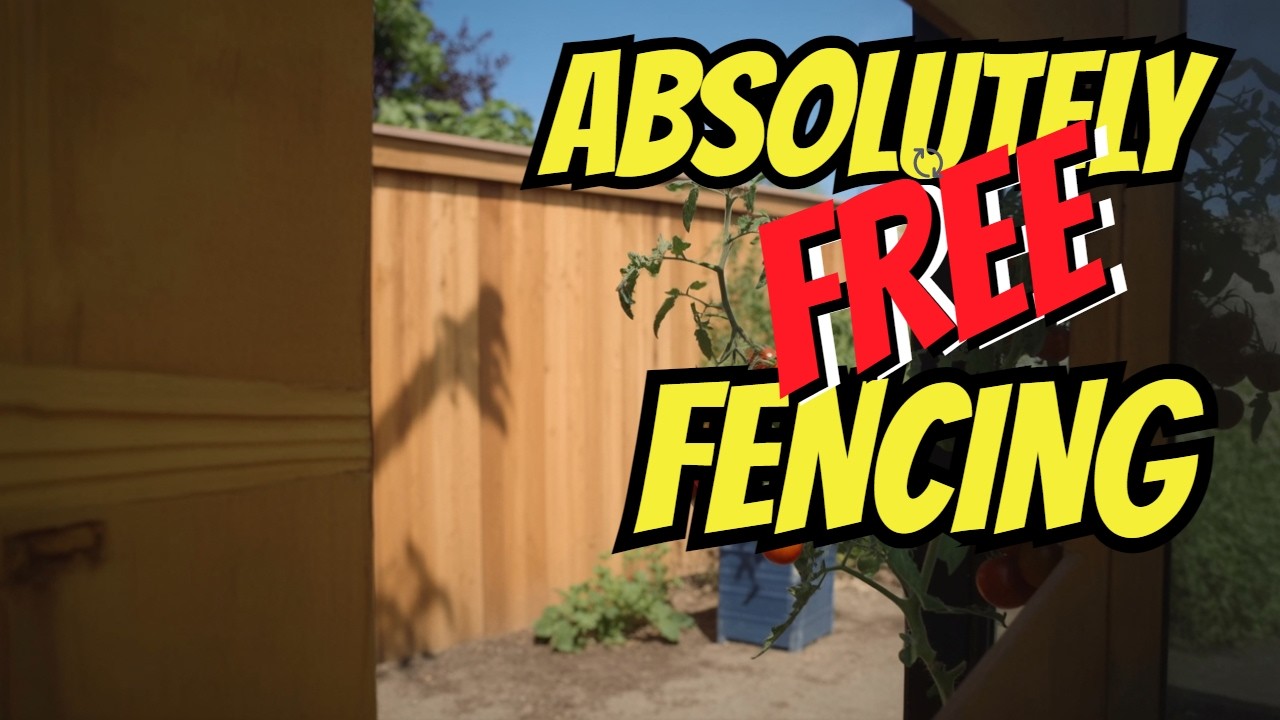FREE FENCING & PAINTING #277 ON 26 JULY 2025