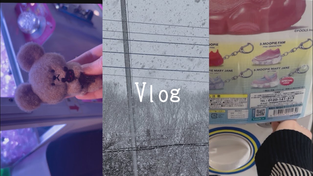 【Vlog】雪の日の1日￤発病日が中学生だった話￤ゲーセンであそんだ様子
