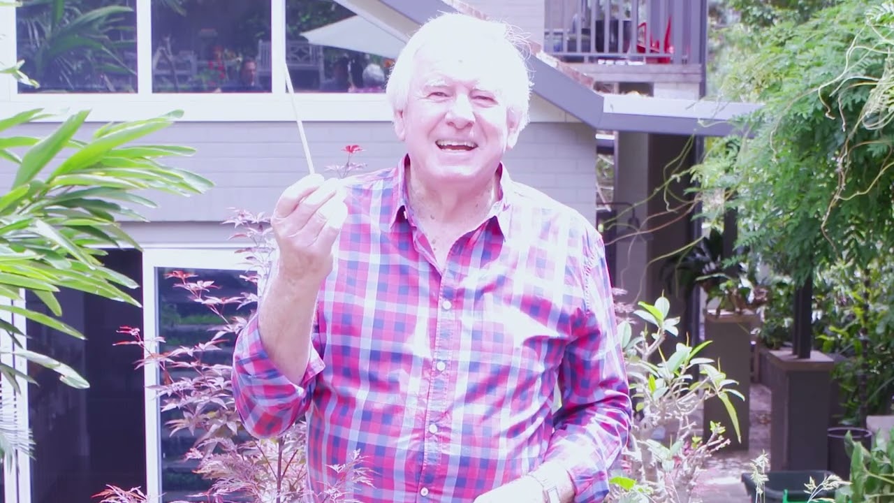 Learn from Graham Ross about how to water potted plants effectively