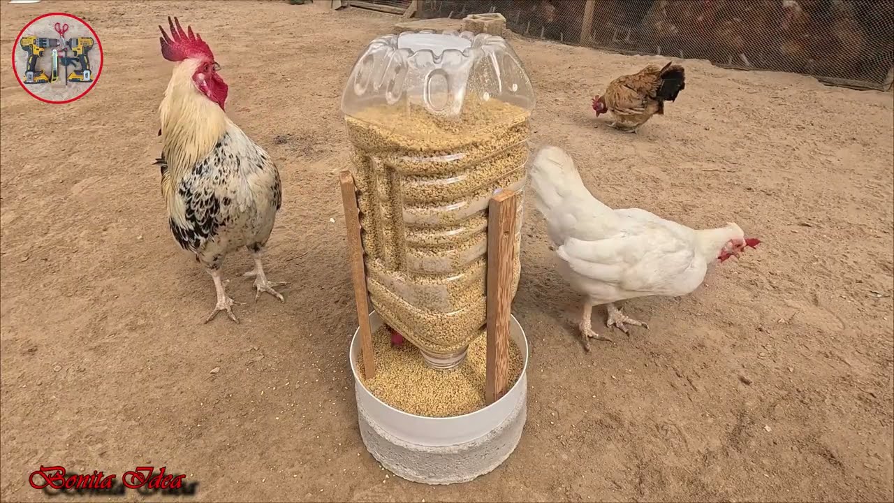 Idea Genial para ahorrar dinero &mdash; Comedero Autom&aacute;tico para gallinas hecho con materiales reciclados.