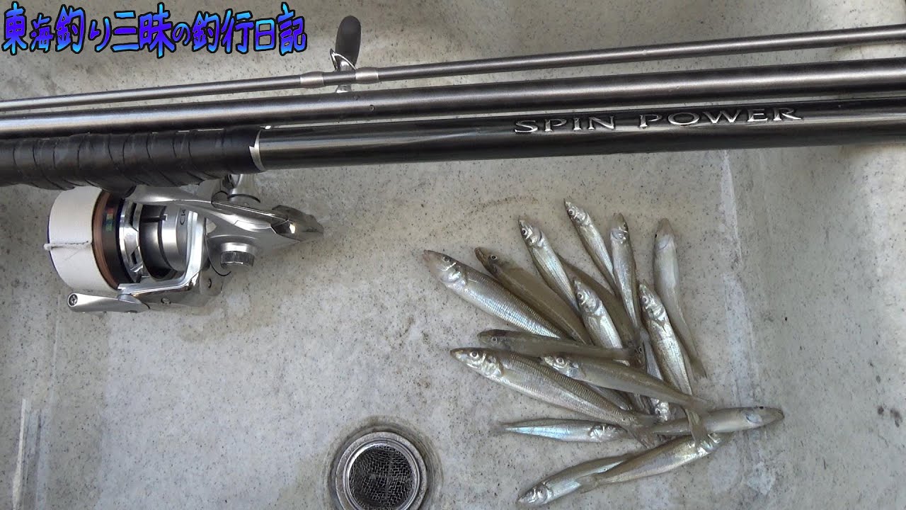 20スピンパワー初使用！貸し切りサーフでキスの投げ釣り釣行！