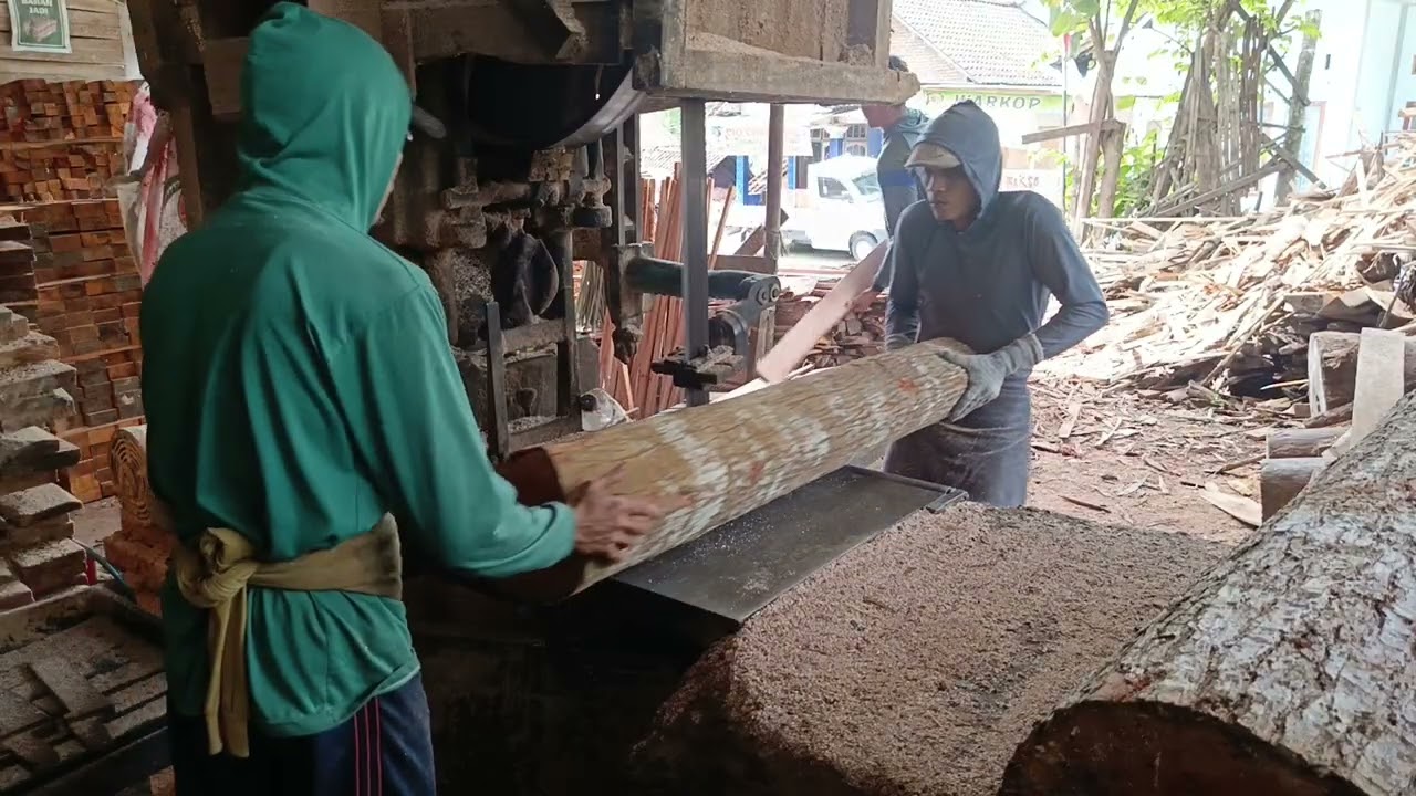 BERLIPAT HASILNYA BELAH MAHONI PAPAN 