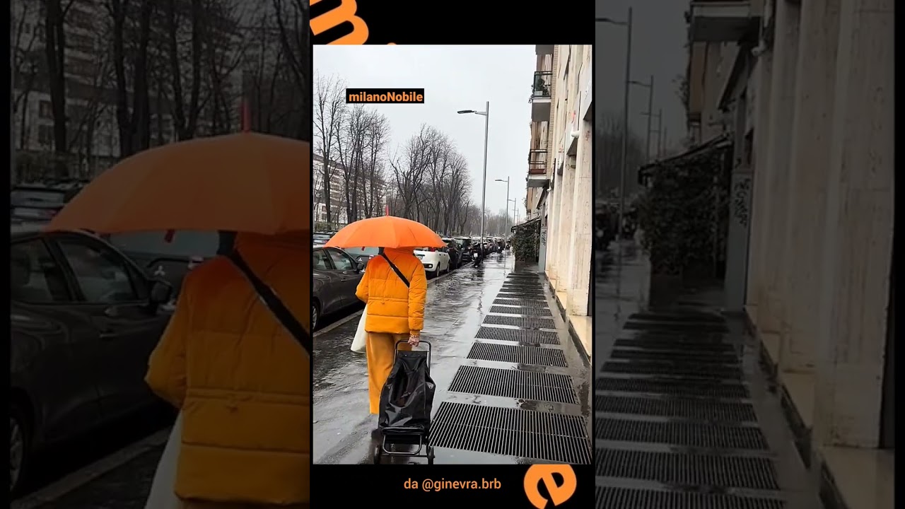 La favola delle sciure 🧡 #milanoNobile #sciure #Milano #MilanoD&agrave;MilanoToglie #videoitaliani #nonni