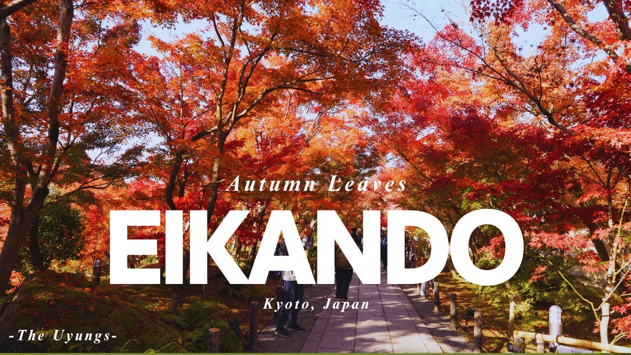 Japan Vlog - Eikando Temple Blue Bottle Cafe Kyoto