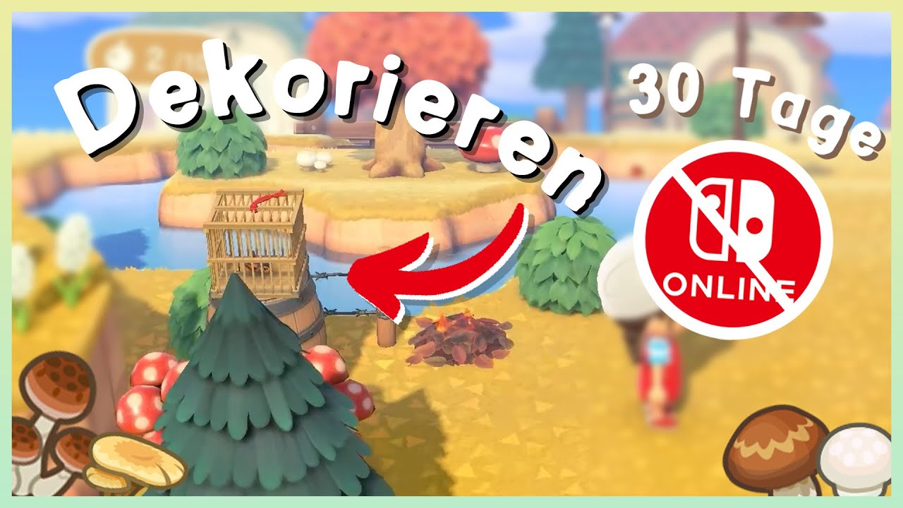 Tag 11 - Ich gestalte eine Insel ohne Nintendo Switch Online in 30 Tagen