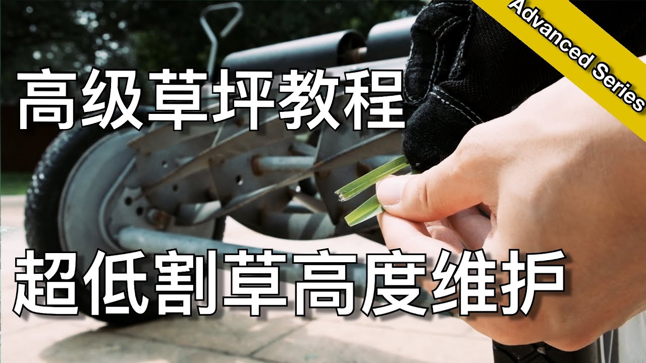 高级草坪维护技巧之 - 滚筒式割草机 - 超低高度草坪维护 - the reel mower & the low-cut turf | 尅尅&凯西的后花园