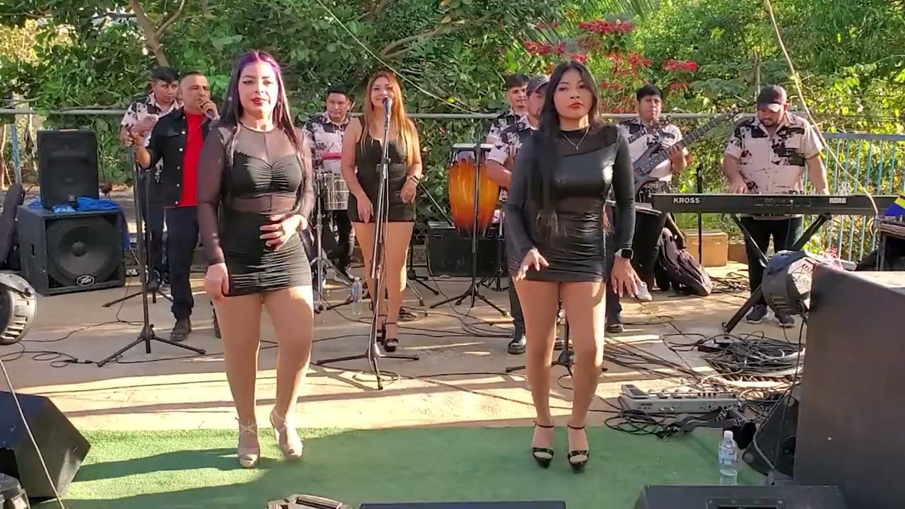 Luisito y su Chanchona - La Timida Señorita - Mariela La Parrandera - Lugar Bonito (Covers) LV 2026
