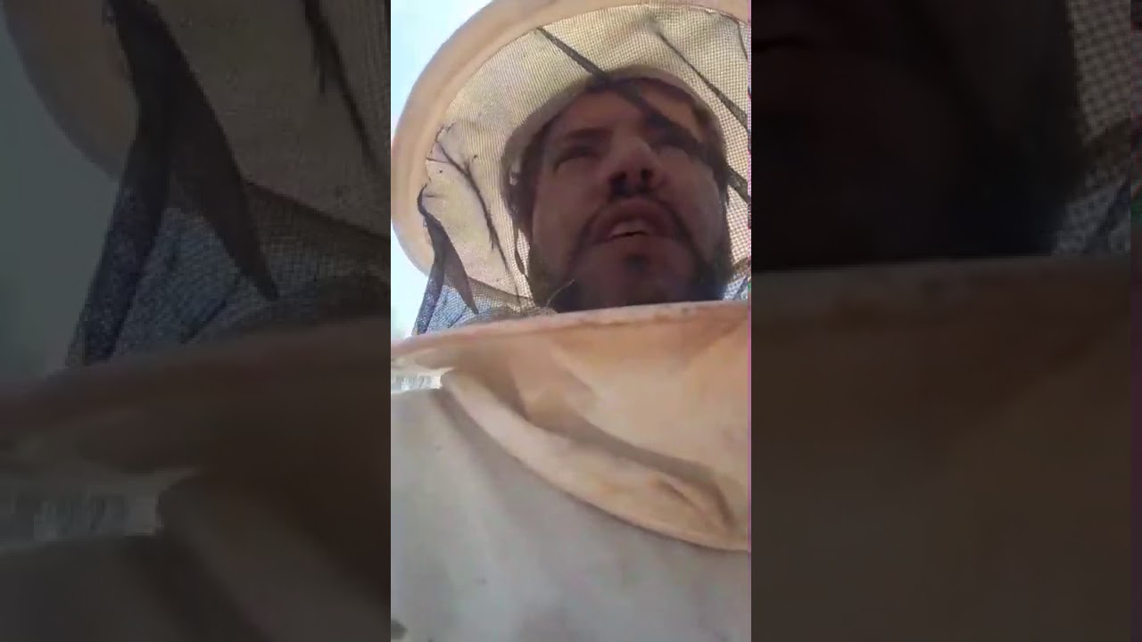عسل الشمع الطبيعي مناحل جلالي البيضاوي الاندلس