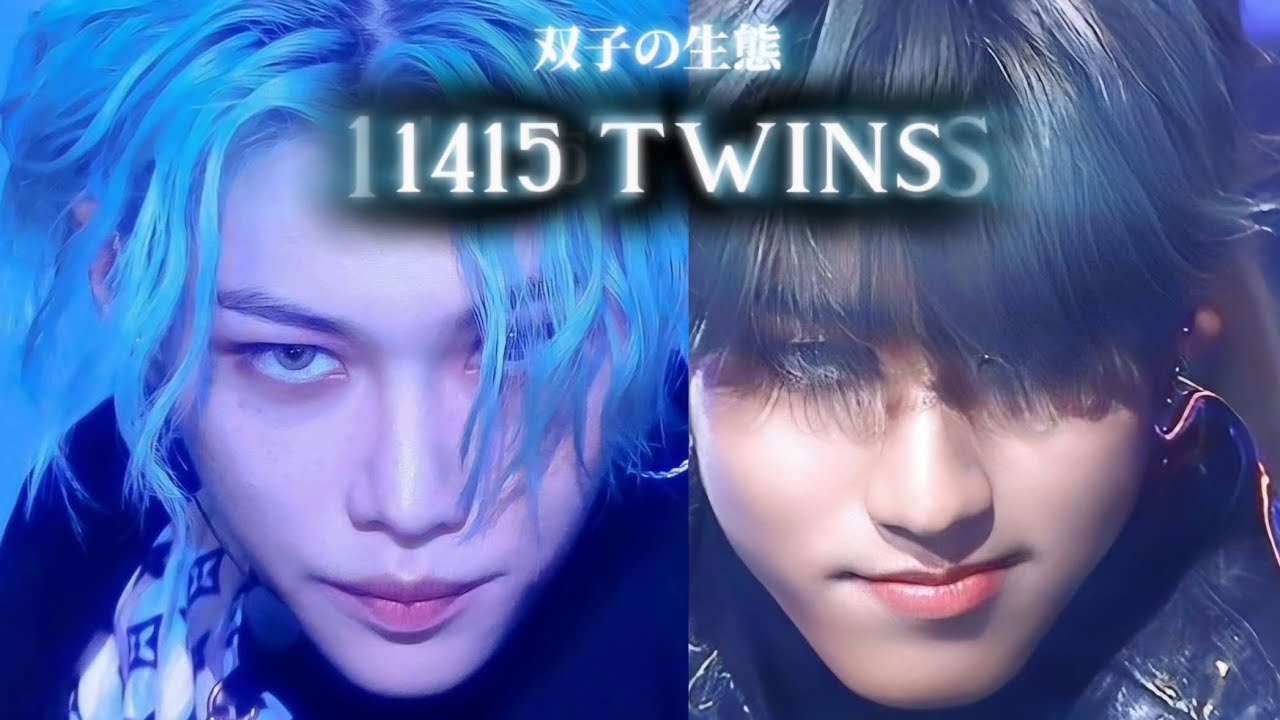 双子の特性について🐿🐥️【Straykids/双子/1415ズ/TWINS/ハニピリ/Han/Felix/한지성/필릭스/ストレイキッズ/SKZ/スキズ/ラムニャンズ/람냥즈/스트레이키즈】