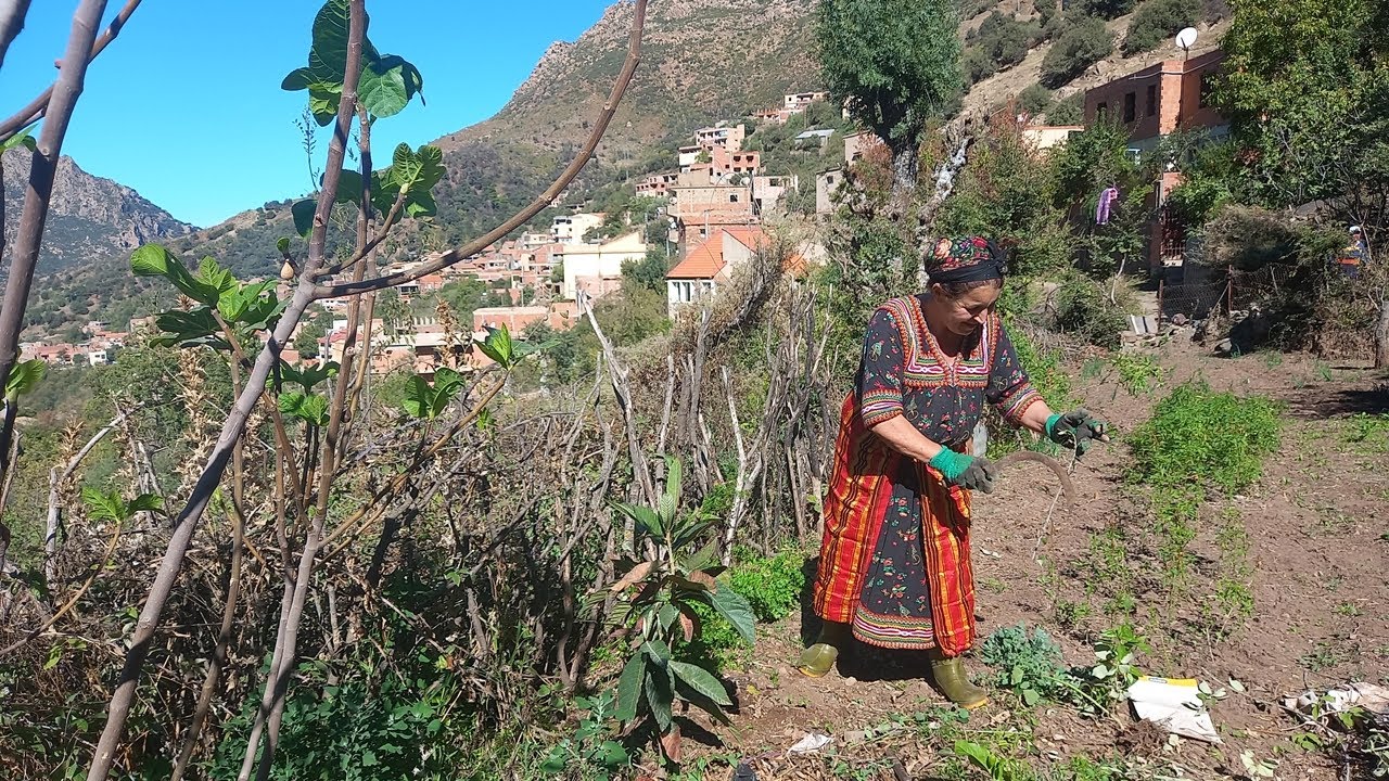 La Vie Quotidienne à La Campagne En Kabylie : Reportage à Ait Ouabane 