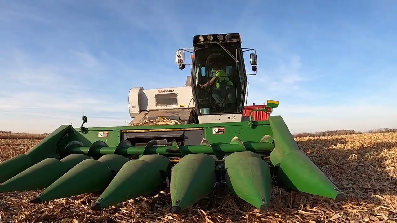 Picking ear corn with a 1996 New Idea UNI