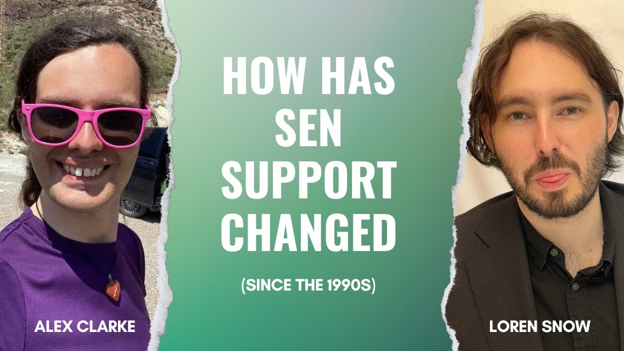 How has SEN support changed since (the 1990s)