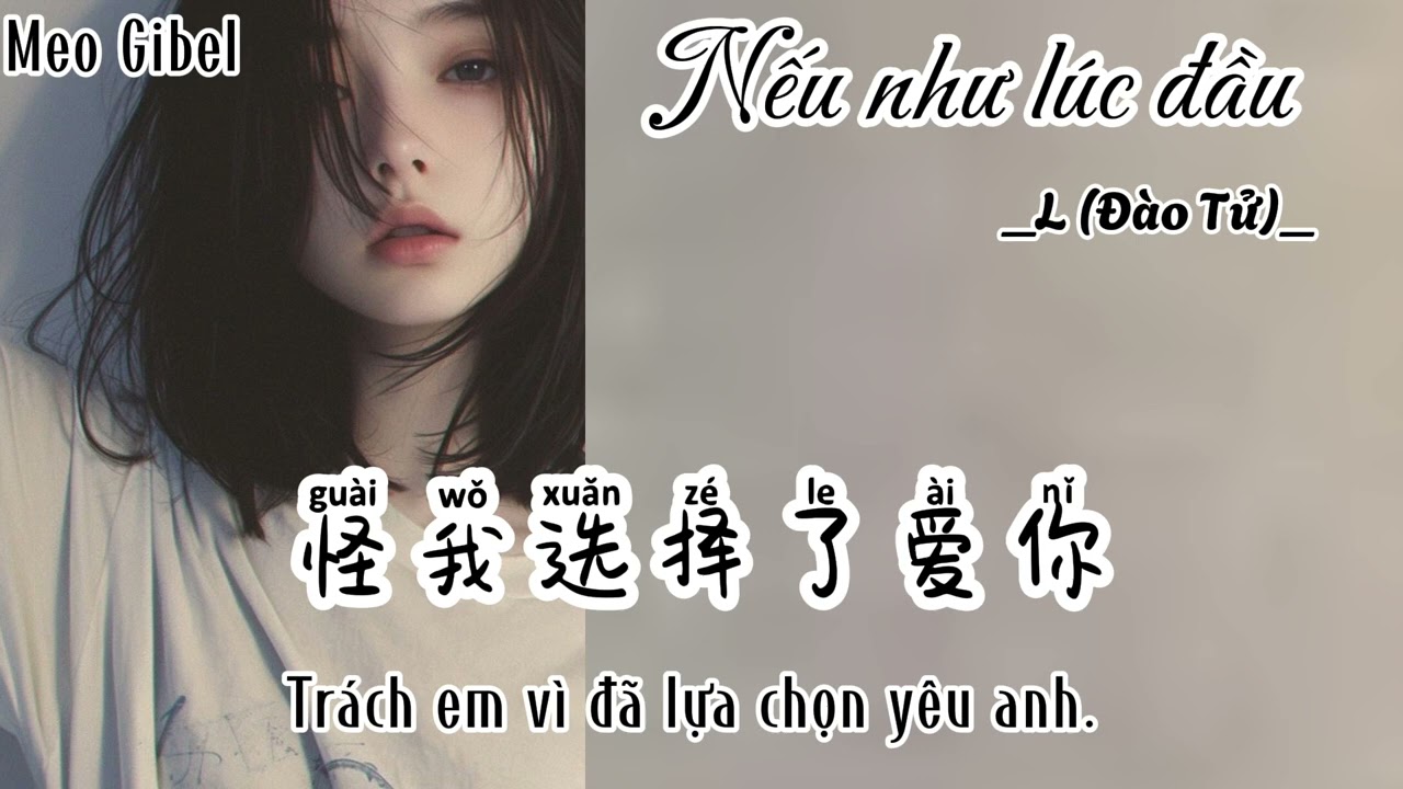 [Vietsub+Pinyin] Nếu như lúc đầu. L-(Đào Tử). 如果当初-L(桃籽)