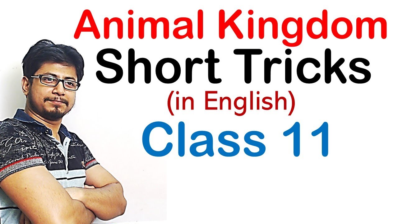 Animal kingdom tricks