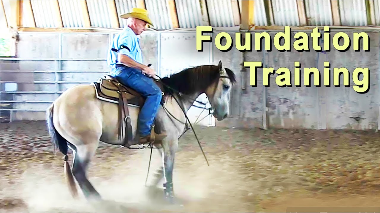 Horse Training For A Solid Foundation - Western Riding, Reining & Cutting Horse Training.