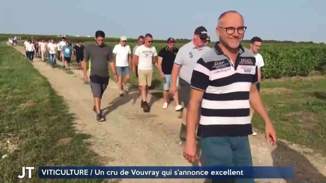 VIN La cuv&eacute;e 2023 s'annonce excellente &agrave; Vouvray