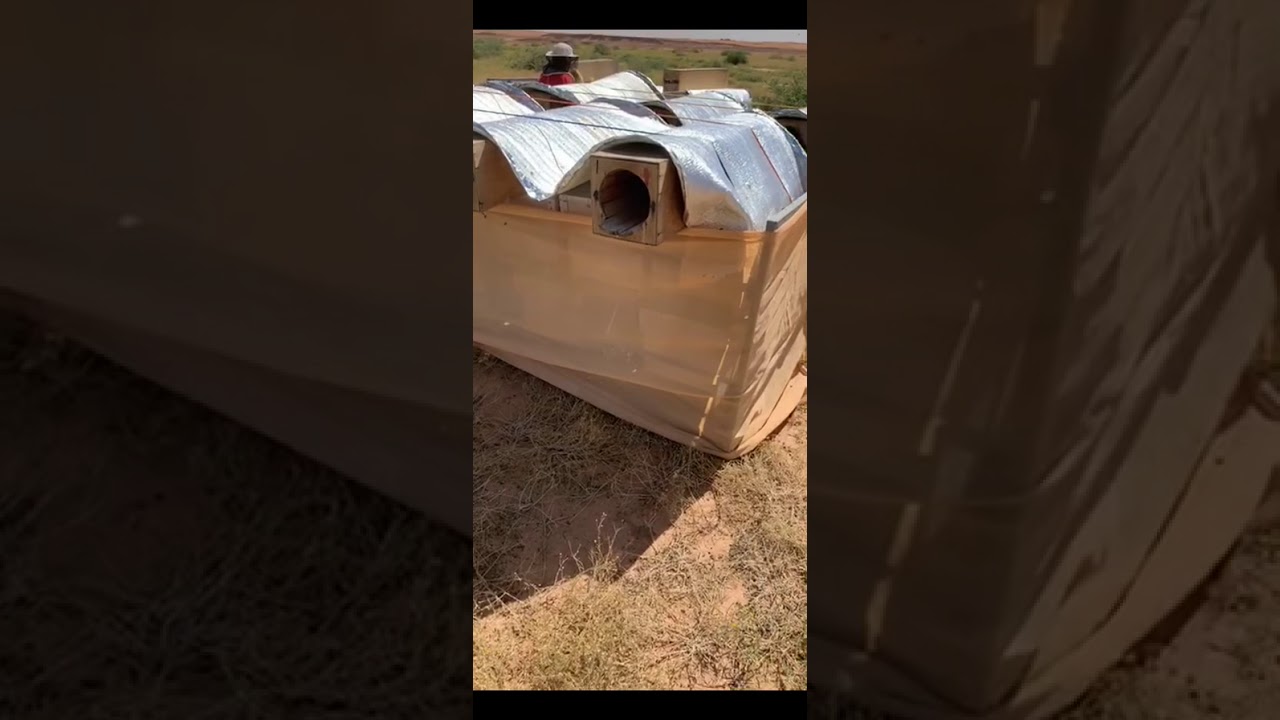 تجربة كراسي النحل الفتحة الداخليه والخارجية والمقارنه بينهم في مراعي الشفلح