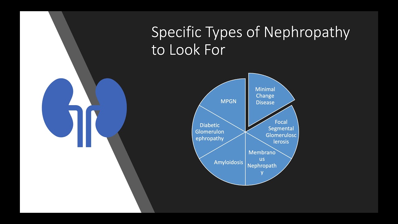 Nephropathy LI- Jordan Rich