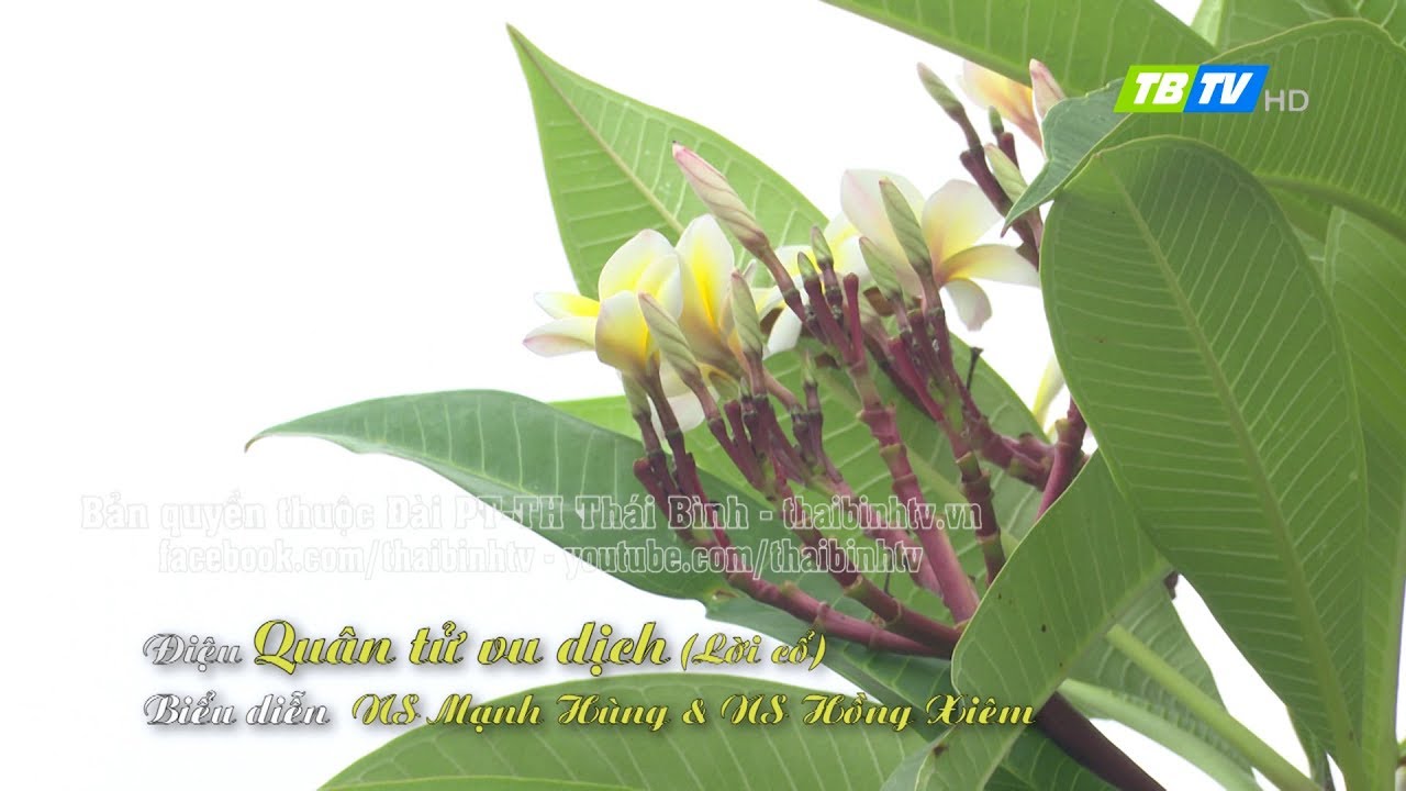DẠY HÁT CHÈO TRÊN TRUYỀN HÌNH 2018 - Điệu quân tử vu dịch (lời cổ) - Thái Bình TV