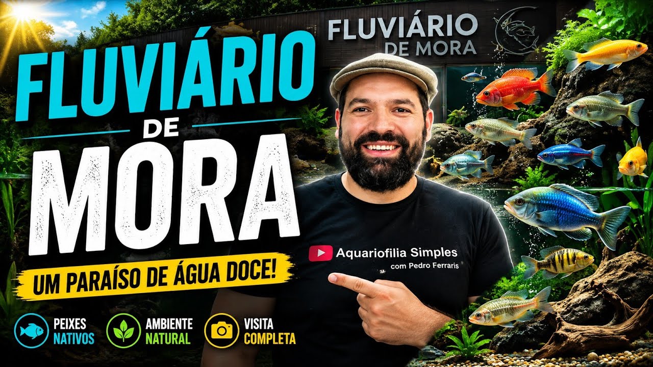 MUITO BOM A VISITA AO FLUVIARIO DE MORA 