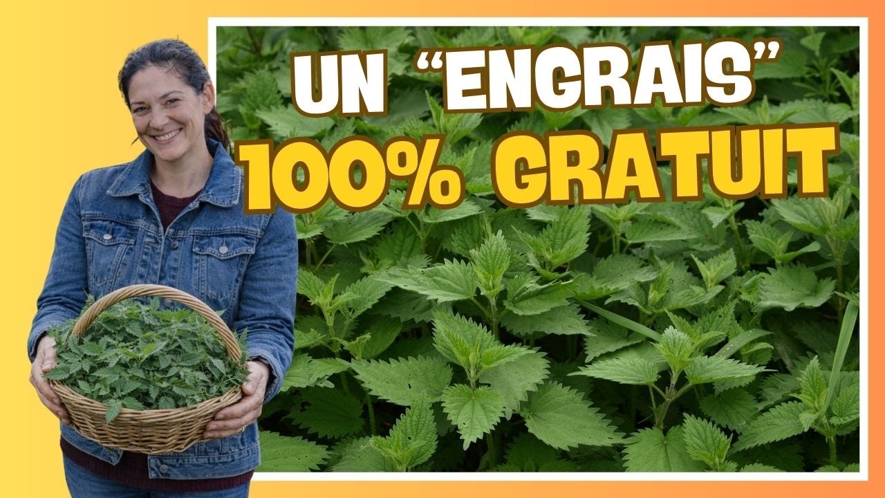 🌱 Un 